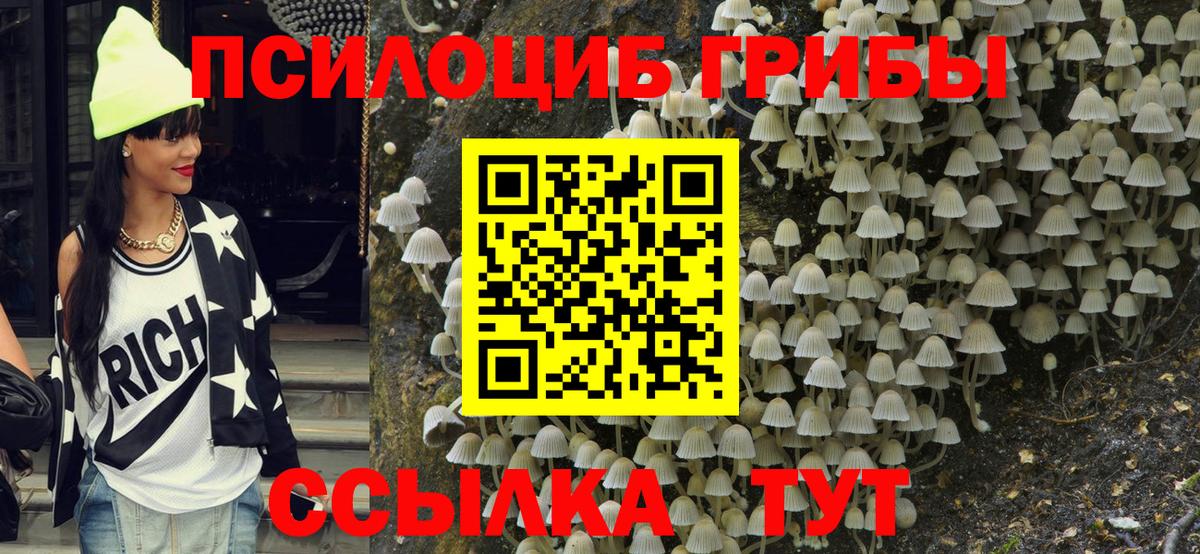 Дятьково  Галлюциногенные грибы Cubensis  Псилоцибиновые грибы MAGIC MUSHROOMS  Вход с VPN 